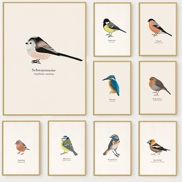 Potdemiel Native Birds Arcies Collect Illustration Poster Minimalistische Wandkunst Leinwandmalerei mit Vogel-Motiv im Portraitformat - Bild 1