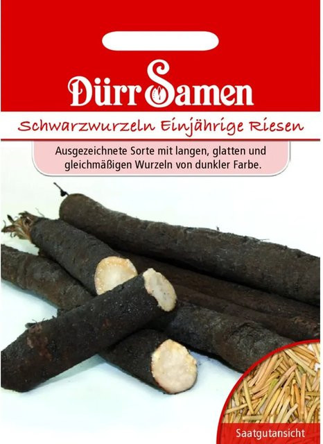 Dürr Schwarzwurzel Saatgut Einjährige Riesen Gemüse Samen - Bild 1