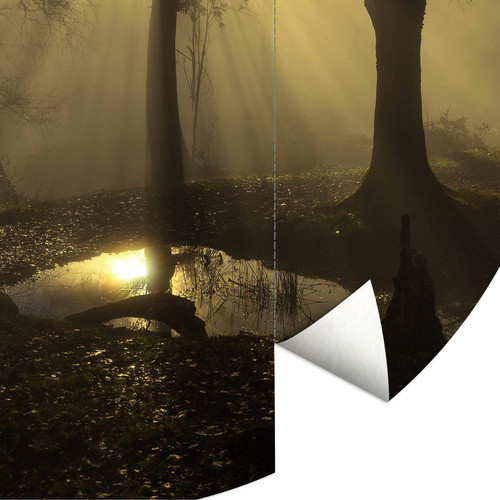 K&L Wall Art Vliestapete Cuadrado Wald Lichtung Natur, runde Wandgestaltung in Mehrfarbig und Matt, B/H: 153 x 140 cm - Bild 2