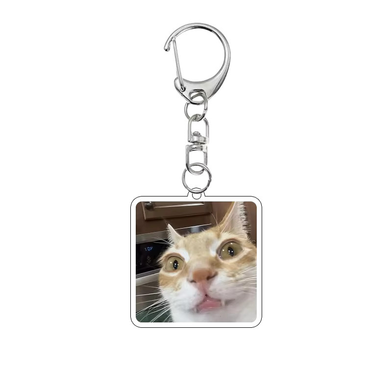 Bandai Schlüsselanhänger Katzen-Meme, Acryl, Unisex - Bild 2