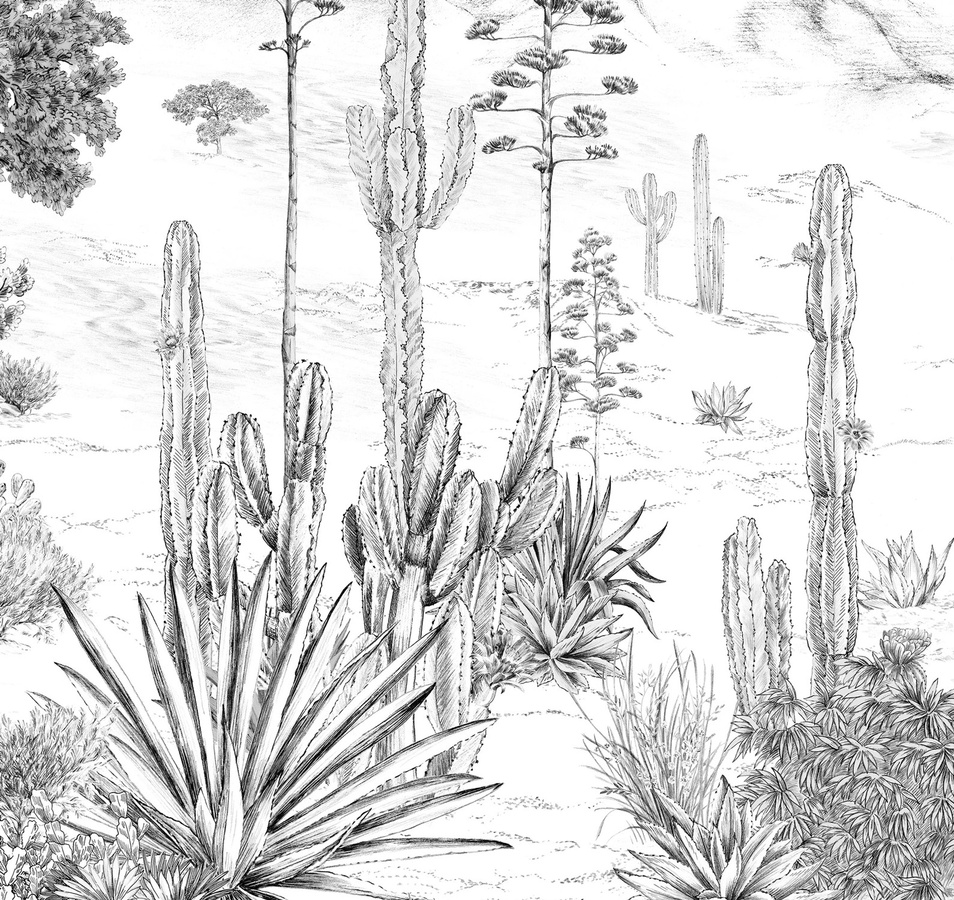 Isidore Leroy Mural Succulentes Grisaille Wandbild in Grau und Weiß, Panel A - Bild 1