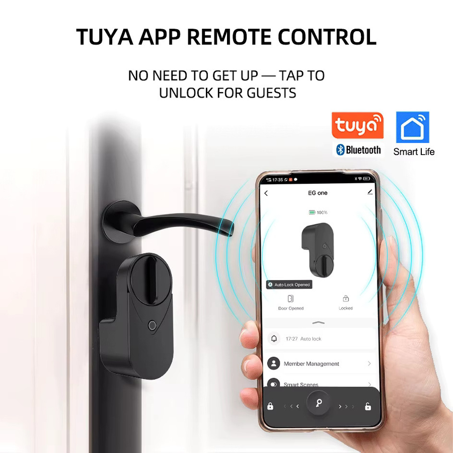 RAYKUBE EG one Tuya BLE Smart Lock Bundle mit Wireless Fingerprint und PIN Pad FP01 in Schwarz - Bild 4