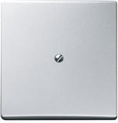 ABB Blindabdeckung Aluminium Weißaluminium RAL 9006 mit Blindzentralscheibe und Tragring - Bild 1