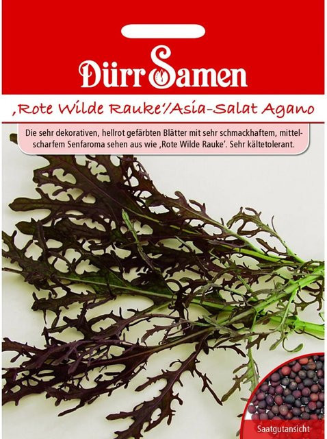 Dürr Rote Wilde Rauke Agano Asia-Salat Saatgut für die Frühsaat - Bild 1