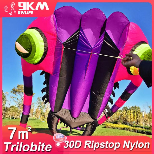 9KM DWLIFE Trilobite Kite, Wäschedrachen, Bunt / Mehrfarbig - Bild 1