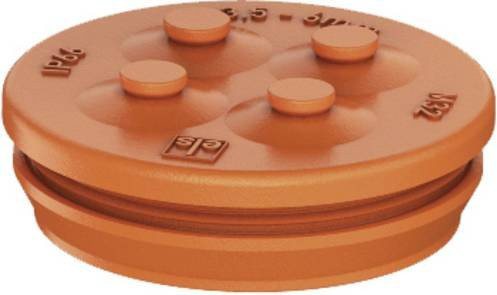 Spelsberg Doppelmembranstutzen 26063301 in Orange aus Kunststoff - Bild 1