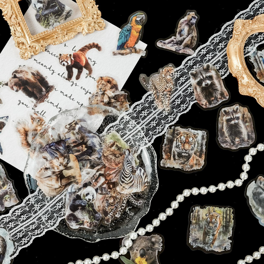 50 superrealistische Tierbilder als transparente Aufkleber für Kinder zur Früherziehung und DIY-Gestaltung von Glastassen oder Fotorahmen, mehrfarbig - Bild 2