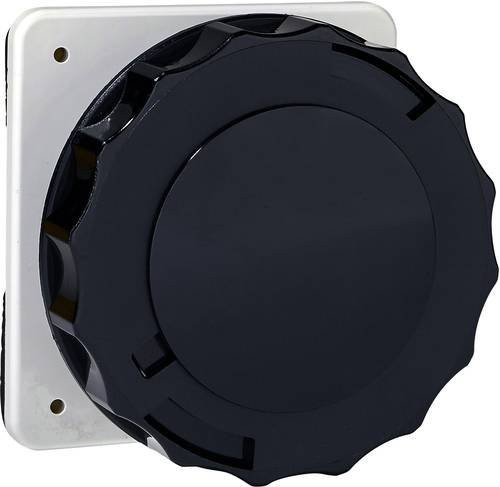 Schneider Electric CEE Anbaudose 125A 500V IP67 in Schwarz und Grau - Bild 1