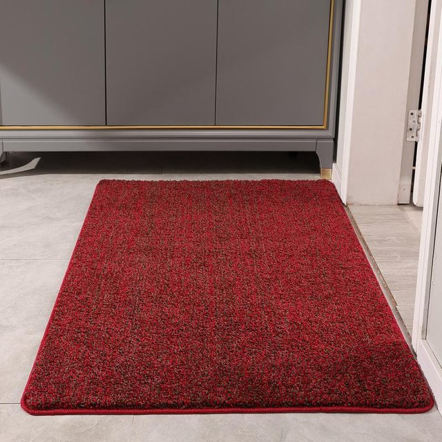 Schmutzabweisende Fußmatte für den Eingangsbereich in Rot, modern und rutschfest, B/T: 60 x 90 cm - Bild 1