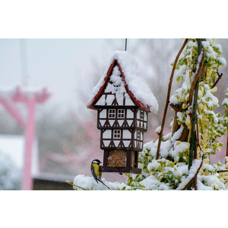 dobar Vogelhaus Zuckerhut hängend rot - Bild 4