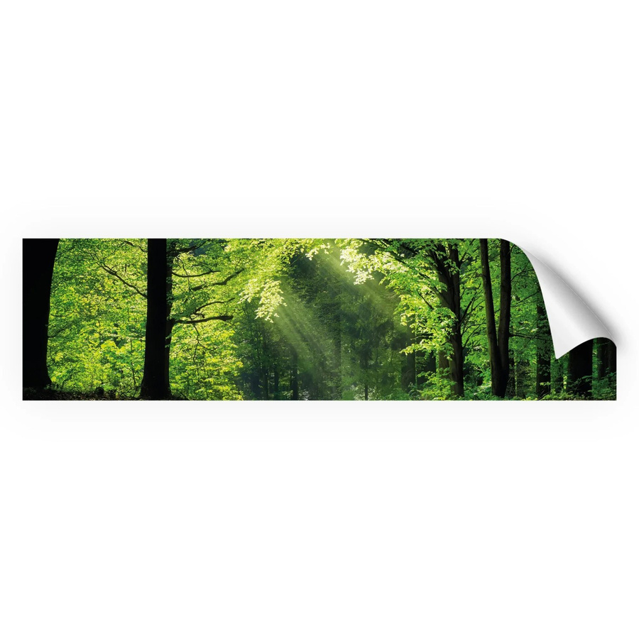 Myspotti Küchenrückwandfolie Sommerwald in Grün, selbstklebend, B: 220 cm, H: 60 cm - Bild 2