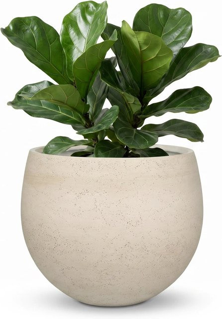 Pflanztopf Sandro von Aplanta, Keramik, beige, Durchmesser: 36 cm, Höhe: 31 cm - Bild 1