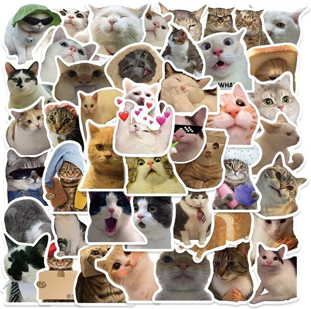 chenxiaogang Katze Lustige Tiere Aufkleber, 50-teiliges Set, bunt - Bild 1