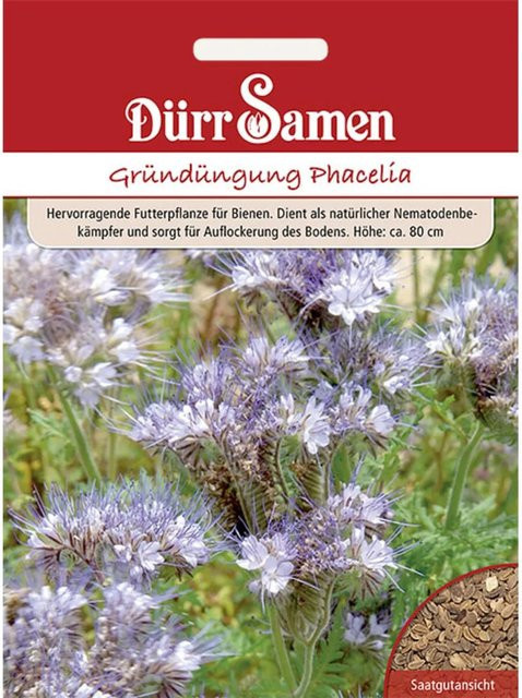 Dürr Samen Phacelia Bienenfreund Gründüngung Saatgut 400 g - Bild 1