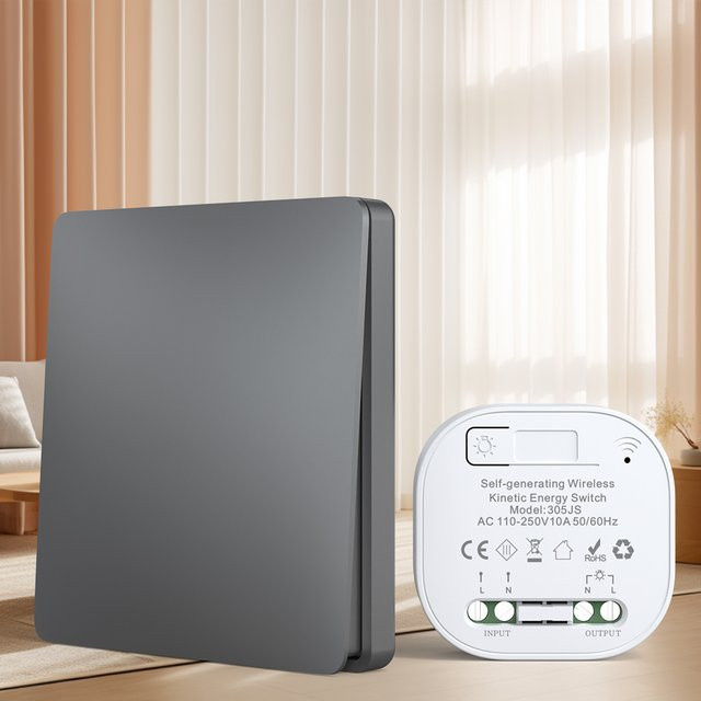 Lunzo QX-305 Kabelloser Fernbedienungs-Lichtschalter RF433MHz 1/2-Wege Elektrischer Schalter in Grau - Bild 1
