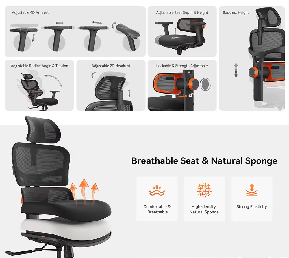 NEWTRAL NT001 Ergonomischer Bürostuhl in Schwarz mit Kopfstütze, verstellbarer Lendenwirbelstütze und Armlehnen für Home-Office und Erwachsene - Bild 5