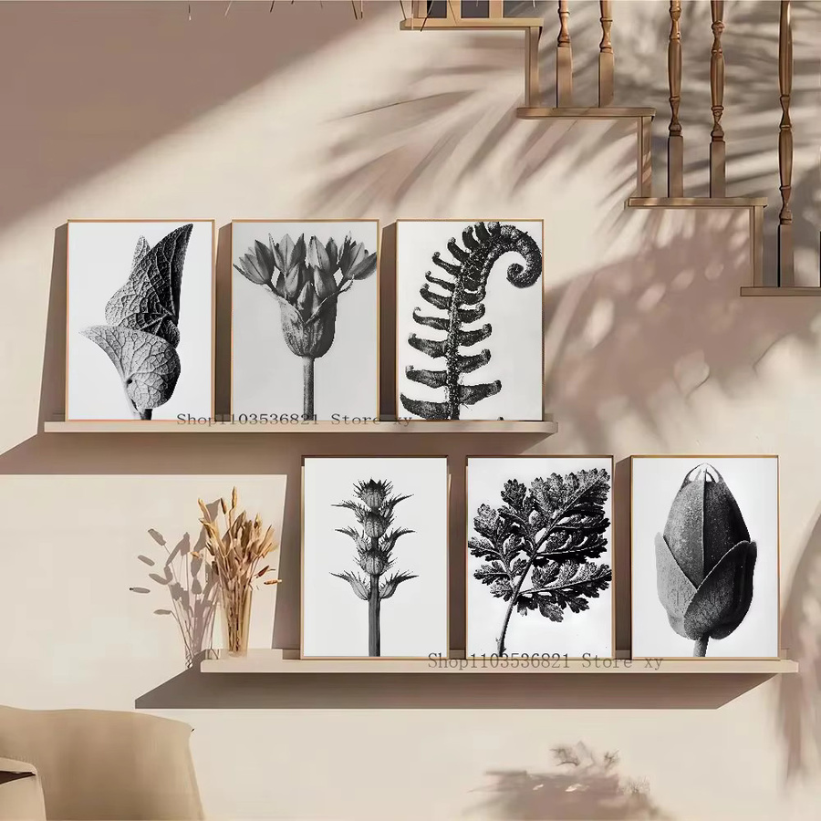 Karl Blossfeldt Vintage Pflanze Poster mit floraler Skizze aus Papier - Bild 2