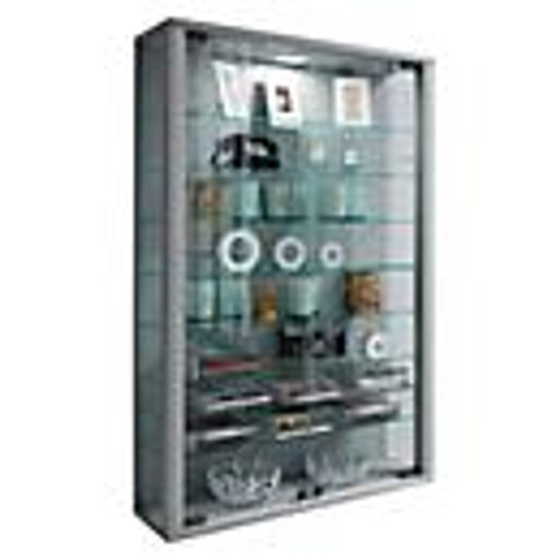 Wandvitrine VCM Vitrosa Mini in Silber mit LED-Beleuchtung, Glas und Holz, B/H/T: 59 x 91 x 19 cm - Bild 5