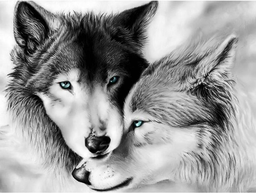 FIYO Diamond Painting Wolfspaar 5D Diamant-Stickerei als Tier-Mosaik zum Selbermachen, mehrfarbig, B/H: 30 x 20 cm - Bild 1