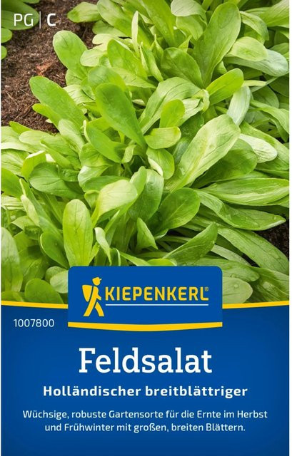 Kiepenkerl Feldsalat Holländischer breitblättriger Gemüsesaat für den Herbst - Bild 1