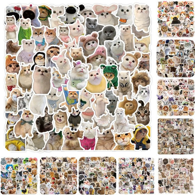 50 Stück bunte Katzen-Meme-Aufkleber von Papery Pop Store für Laptop, Handyhülle und Gepäck - Bild 1