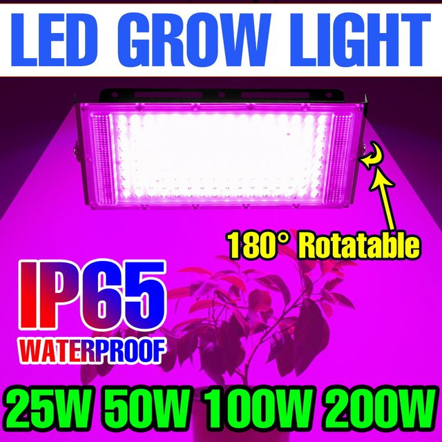 CanLing 200 W LED-Vollspektrum-Wachstumslicht in Schwarz für Gewächshauspflanzen, Zelt und Hydrokultur - Bild 1
