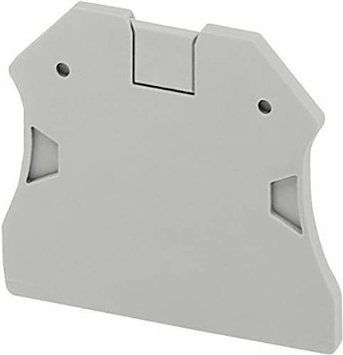 Schneider Electric NSYTRAC22 Endkappe, Grau, 50 Stück - Bild 1
