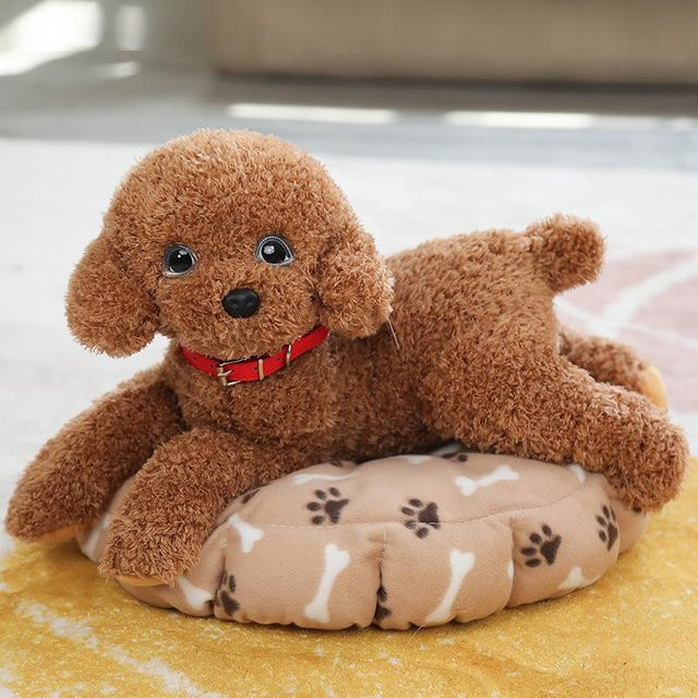 Yiran Health & Beauty Teddy-Hund Pudel Plüschtier, 35cm, ab 1 Jahr - Bild 1