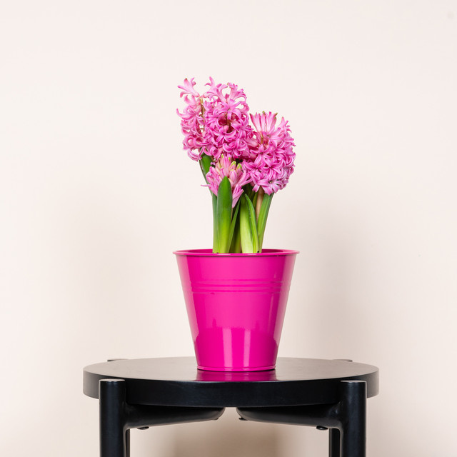 Metall Übertopf BLUME2000 Pink Durchmesser: 12,5 cm - Bild 1