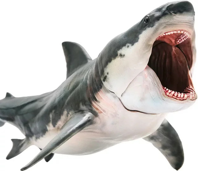 PNSO Megalodon-Modell Hai, Prähistorisches Meeres-Tier - Bild 1