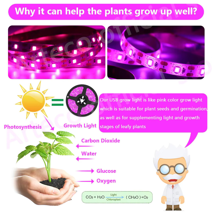 Arteco LED Pflanzenwachstumslampe mit Vollspektrum und USB-Anschluss, 5V SMD 2835 Phyto-Lichtstreifen für Gewächshaus und Hydrokultur, Farbe: Weiß - Bild 4