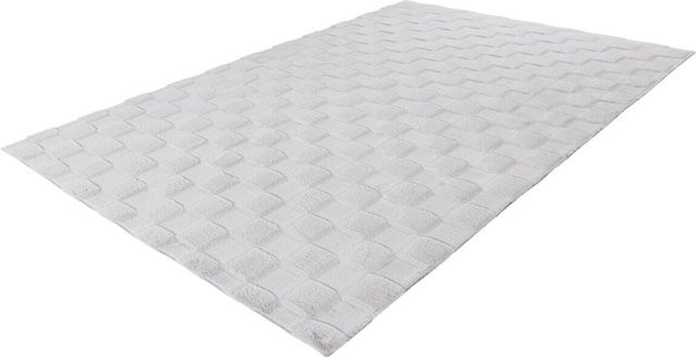 Kayoom Teppich Botany 625 in Silber, pflegeleicht, B: 80 cm, L: 150 cm - Bild 1