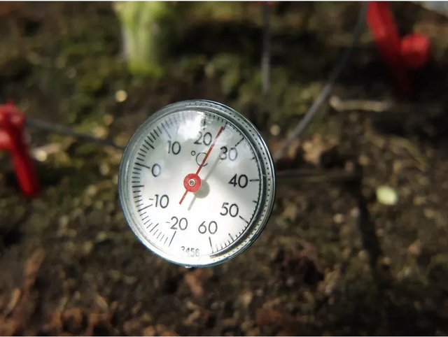 Vitavia Erdthermometer aus Edelstahl in Silberfarben für Gewächshäuser - Bild 1
