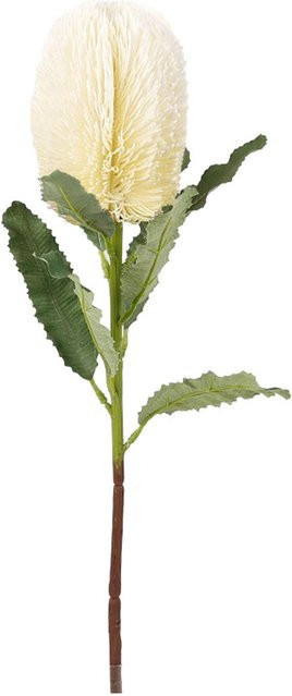 OutsideWorld Künstliche Banksia-Blume in Weiß für moderne Dekorationen und Hochzeiten - Bild 1