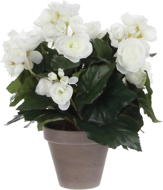 Mica Decorations Kunstblume Begonia Weiß im Topf, Höhe: 30 cm, Durchmesser: 25 cm, Topf-Ø: 11,5 cm - Bild 1