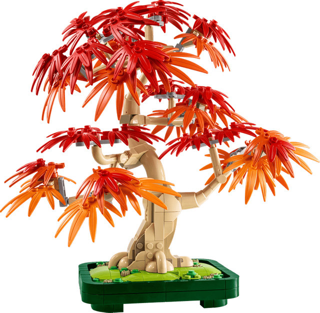LEGO Botanicals Japanischer Roter Ahorn Bonsai-Baum - Bild 1