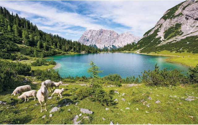 Komar Fototapete Vlies Paradise Lake Multicolor B: 400 cm, H: 250 cm - Bild 1