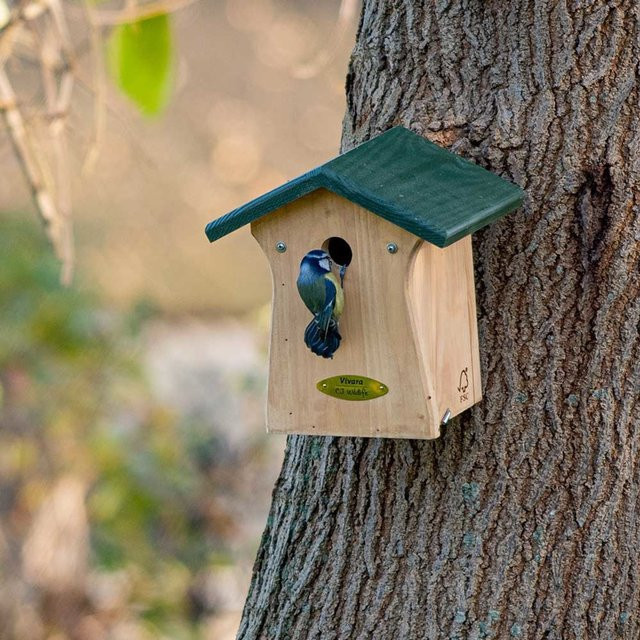 CJ Wildlife Nistkasten Bonaire aus Holz in Grün und Braun mit 28 mm Wandstärke - Bild 1