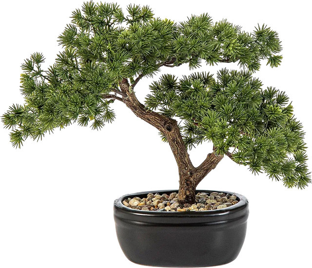 Künstlicher Bonsai Nina von Aplanta, Höhe: 26 cm - Bild 1