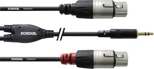 Cordial Audio Adapterkabel 1x 3,5mm Klinkenstecker auf 2x XLR-Buchse, Schwarz, Länge: 1,80 m - Bild 1
