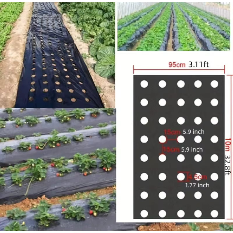 Schwarze biologisch abbaubare Mulchfolie zur Unkrautbekämpfung und Feuchtigkeitsrückhaltung für den Gemüsegarten und landwirtschaftliche Gewächshäuser - Bild 4