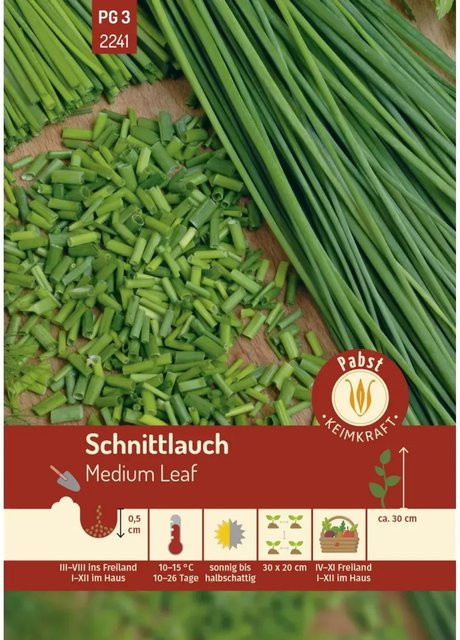 Pabst Keimkraft Schnittlauch Saatgut, mehrjährig, mittelröhrig, 200 g - Bild 1