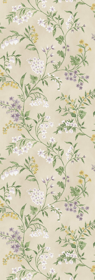 Nina Campbell Tapete Almora Vlies in Lilac, Gold und Eucaplyptus mit Blumenmuster - Bild 1