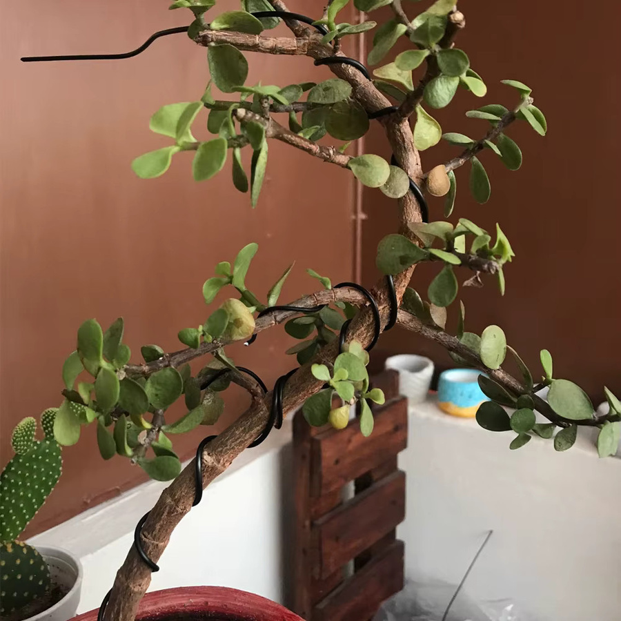 3 Rollen Bonsai-Trainingsdraht aus eloxiertem Aluminium in Schwarz, Set mit 3 Größen (1,0 mm, 1,5 mm, 2,0 mm), Gesamtlänge 15 m - Bild 3