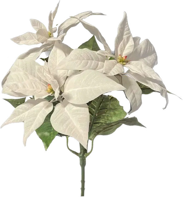 Künstliche Poinsettia Augustus von Aplanta, Höhe: 32 cm - Bild 1
