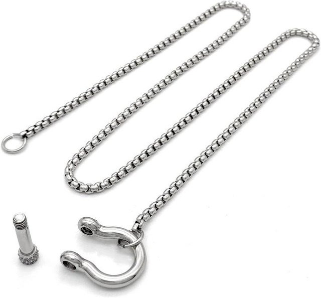 ZAKOL Halskette, 18K Gold Plated Edelstahl, Hufeisen, Zirkon, Damen - Bild 1