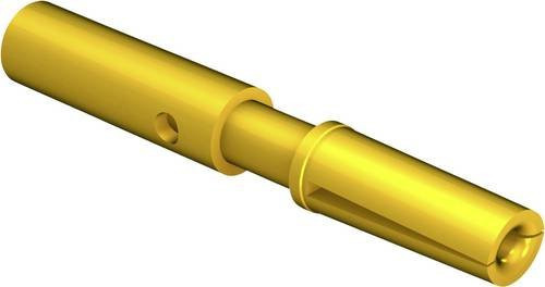 Intercontec Kontaktbuchse 60.278.11 in Gold - Bild 1