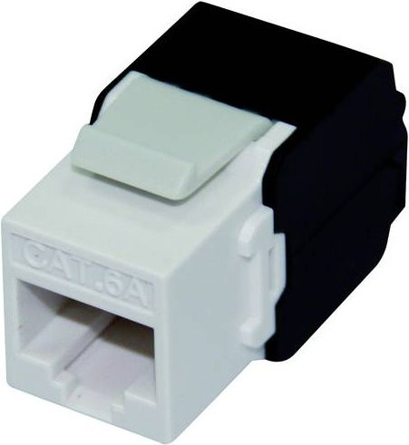 Roline RJ45-Einbaumodul CAT 6a Ethernet LAN Modul in Weiß - Bild 1