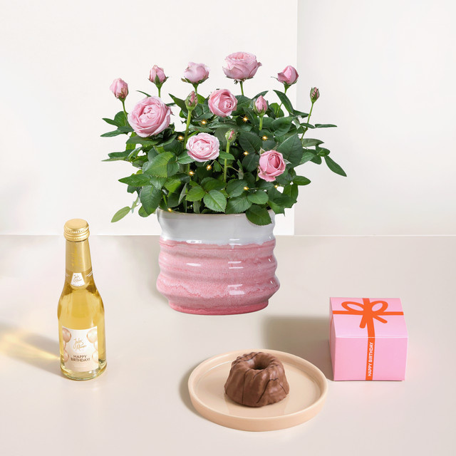 BLUME2000 Geschenkset Rosenliebe mit rosa Rosen, Geburtstagsküchlein und Sekt - Bild 1