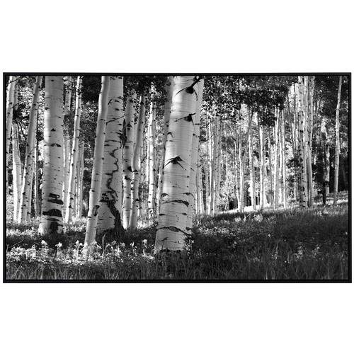 papermoon Infrarotheizung EcoHeat Birkenwald Schwarz Weiss mit Matt-Effekt und App-Steuerung - Bild 2
